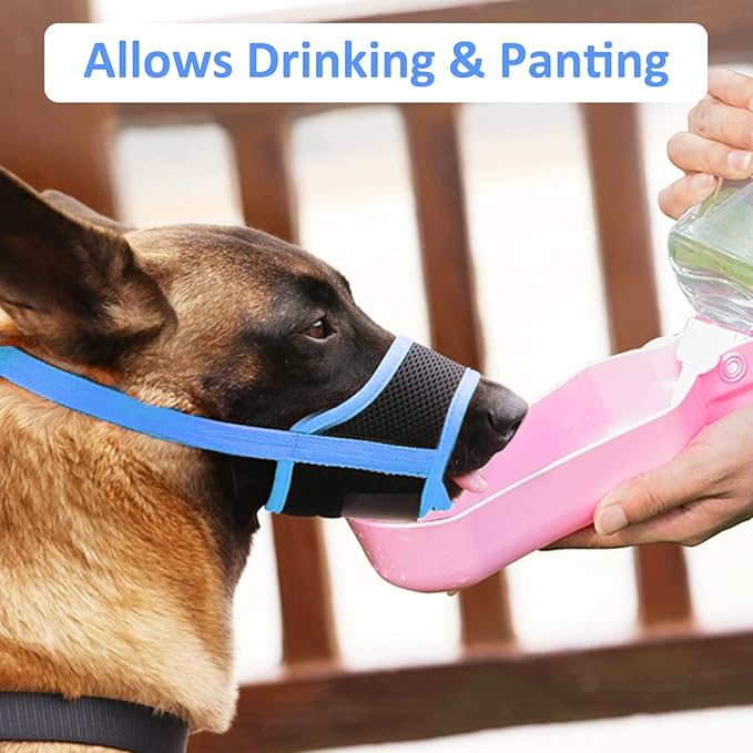 LUCKYPAW Dog Muzzle Anti Biting Barking and Chewing with Comfortable Mesh Soft Fabric and Adjustable Strap, Suitable for Small, Medium and Large Dogs(Blue Trim,M)