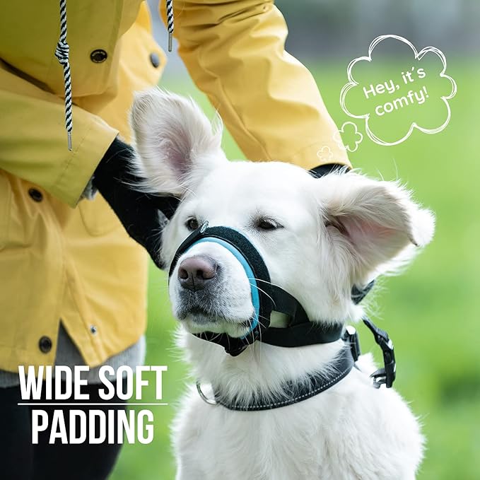 Gentle Muzzle Guard for Dogs - Prevents Biting and Unwanted Chewing Safely – New Secure Comfort Fit - Soft Neoprene Padding – No More Chafing – Training Guide Helps Build Bonds with Pet (L, Blue)