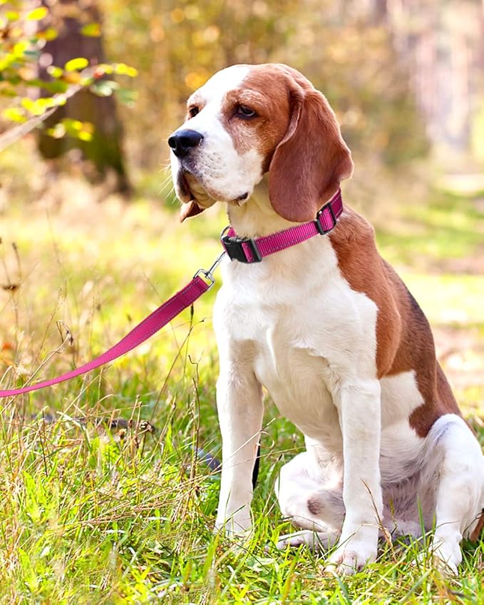 FunTags Reflective Dog Collar, Sturdy Nylon Collars for Medium Girl and Boy Dogs, Adjustable Dog Collar with Quick Release Buckle, Pink