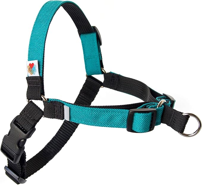 Wildebeest No Pull Dog Harness | Comfortable Training Harnesses | Effective No Pull Harness Design | Ideal for Large Sized Dog | 4-Point Adjustable(XL - 30~36 inch Girth, Turquoise)