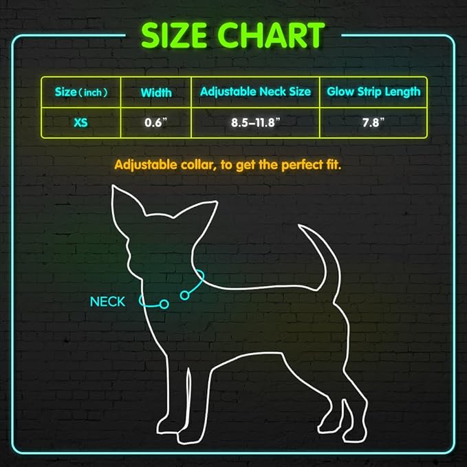 BSEEN Light Up Dog Collar, Rechargeable LED Dog Collar Glowing Cat Collars Reflective Puppy Collar Safety Dog Lights for Night Walking(Orange, XS)