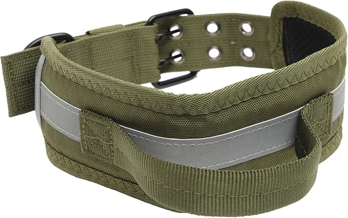 Reflective Heavy Duty Adjustable Pet Accessory for and Outdoor Use