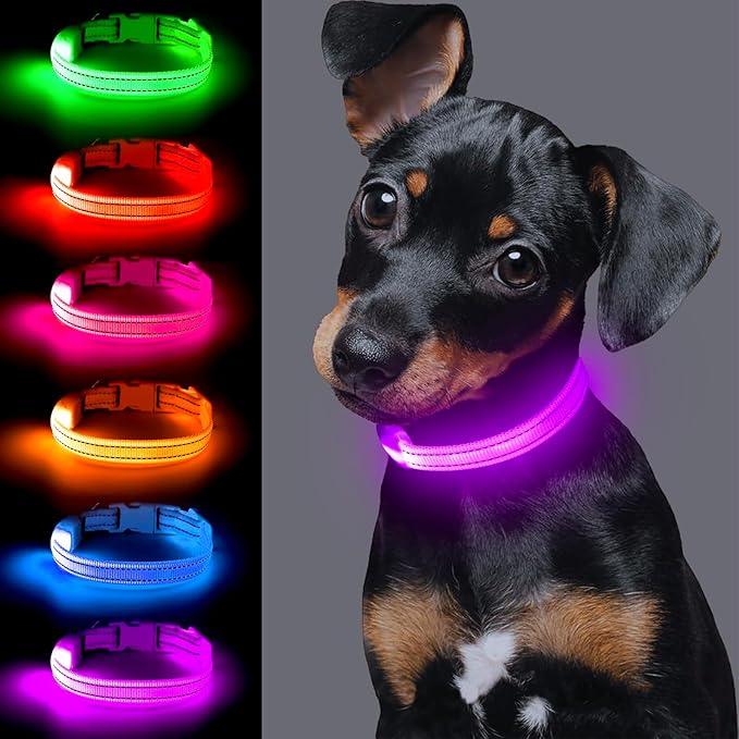Light up Dog Collar for Small Dog,Vizpet XS Adjustable Size Nylon Collar USB Rechargeable Bright Safety Pet Collar for Cats Dogs (Purple)