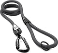 MADE TO ROAM Premium Explorer Leash - Climbing Rope Leash with Autolocking Aviation Aluminum Carabiner - New York Afterlight, 6ft