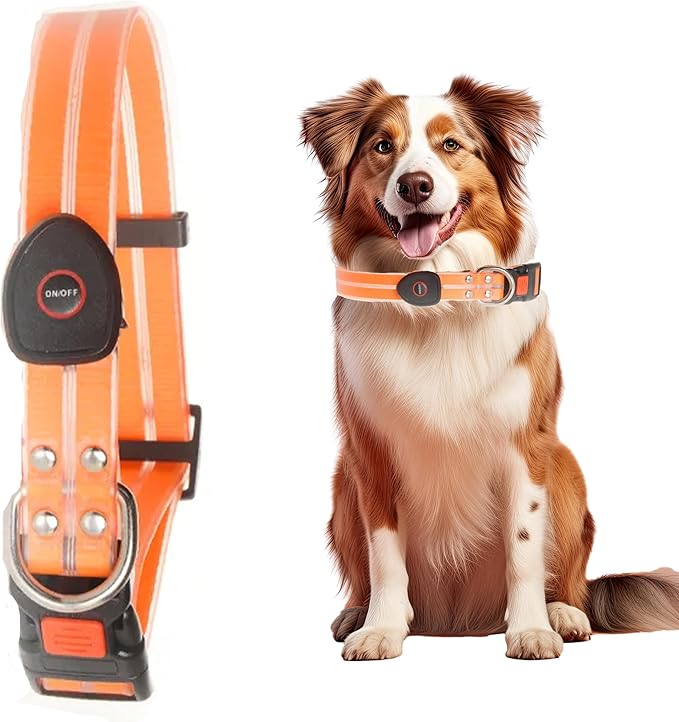Safety Led Dog Leash for Night Walking - Glow in The Dark - Water Resistant Nylon Webbing - Lightweight and Heavy Duty - USB Rechargeable - RGB Color Changing - Suitable for All Dogs (Orange)