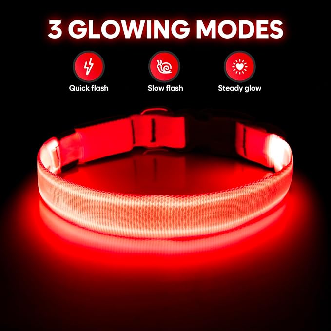 Illumifun LED Dog Collar - Adjustable Light Up Dog Collar - Safety Pet Collar Light Make Your Dogs Safe& Seen at Night (Red, Small)