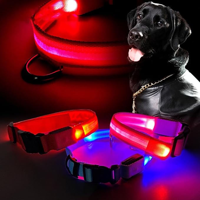Adjustable Glowing Collar for Small Large Dogs Ensuring for Night Walk Multicolored Dog Collar for Large Dogs
