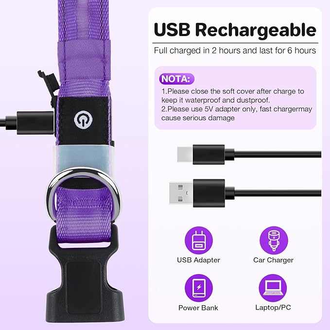 Light Up Dog Collar, USB Rechargeable 6 Modes, Waterproof Charging Port, Long Lasting LED Collar - Adjustable Nylon Reflective for Dogs, Sizes S/M/L (7/9/11 Lights) - 5 Colors (Purple, M)