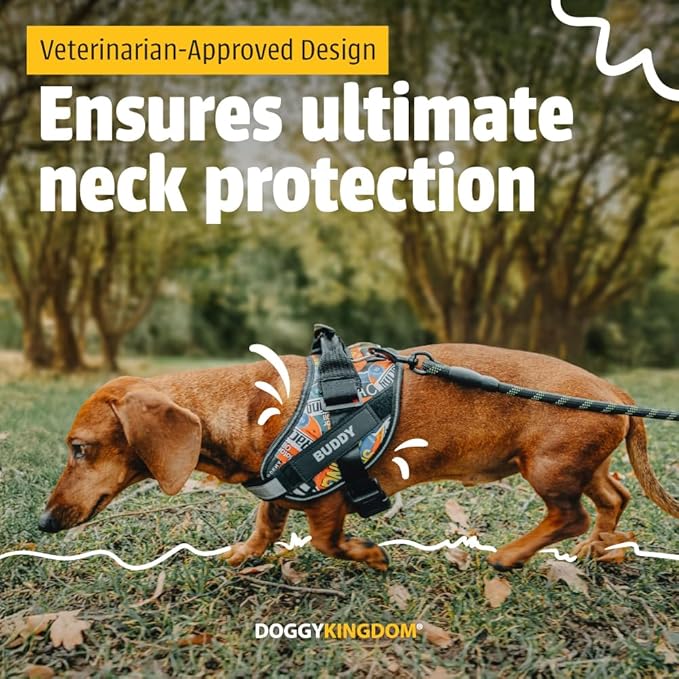 Personalized No-Pull Dog Harness with Name Patch, Adjustable, Reflective, Padded, Heavy Duty Pet Vest to Prevent Tugging, Pulling, or Choking, Training and Walking, Blue, M