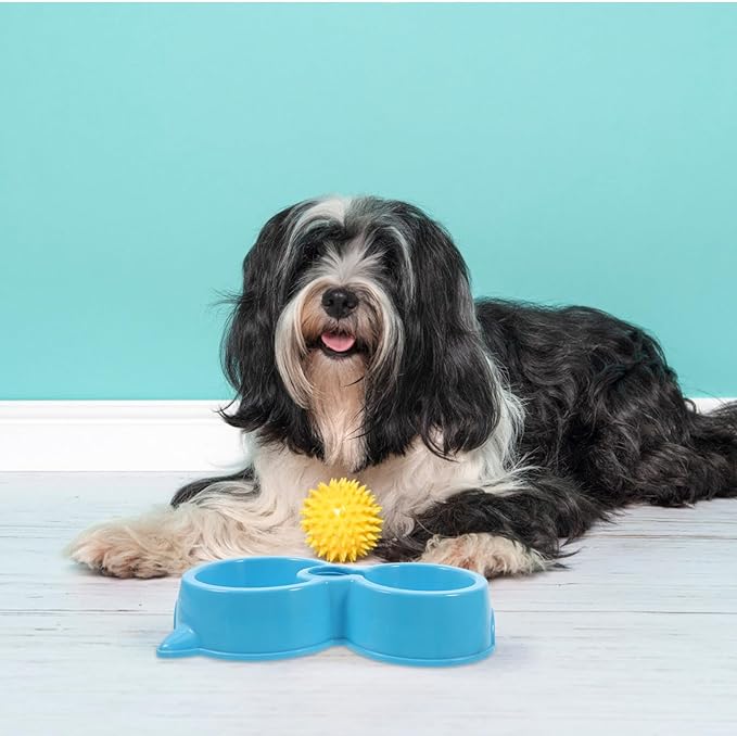 UPKOCH Automatic Dog Water Dispenser with Dual Bowls Cat Food Water Bowl for Dogs Puppies Kittens and Easy to Detachable Material
