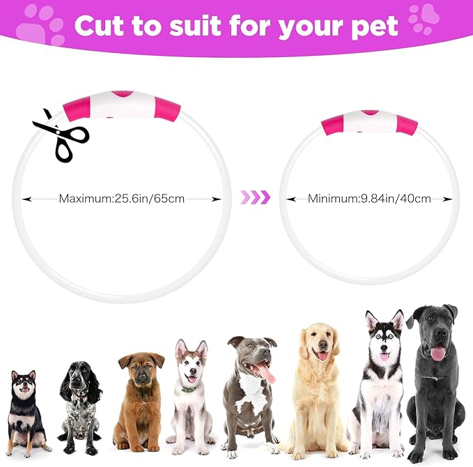 Higo 2 Pack Light Up Dog Collar, USB Rechargeable, Led Lighted, Glow in Dark, Fits Small, Medium, Large Dogs (Pink+Blue)