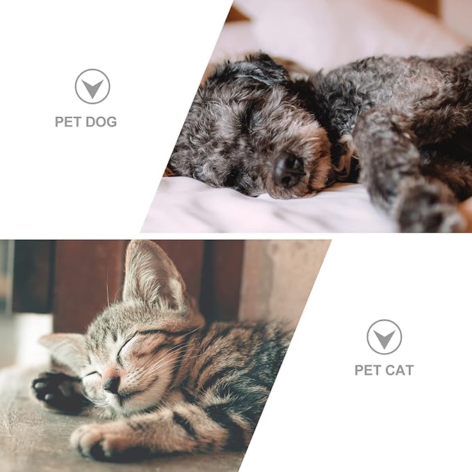 BESPORTBLE Automatic Pet Feeder Dog Water Dispenser Unique Design Pet Waterer Dispenser Dog Water Bowls for Cats