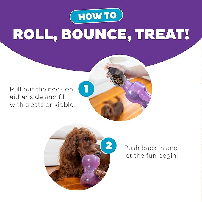 Outward Hound Double Snoop Interactive Treat Dispensing Dog Toy, Puzzle Ball Slow Feeder for Medium to Large Dogs, Mint-Scented for Mental Stimulation & Boredom Relief, 6-inch