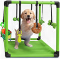 Race&Herd Puppy Play Gym, Dog Play Mat, 8 Bungee Straps Interactive Puppy Active Toys - Small Dog Jungle Gym 19.5" Frame with Playground Set Indoor Enrichment Activity Center (Green)