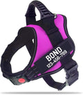 Personalized No Pull Dog Harness with Custom Name and Phone Number by PawPawify, Heavy Duty Pet Vest to Prevent Tugging, Pulling, or Choking, Training and Walking