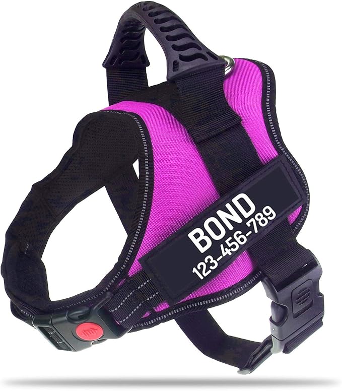 Personalized No Pull Dog Harness with Custom Name and Phone Number by PawPawify, Heavy Duty Pet Vest to Prevent Tugging, Pulling, or Choking, Training and Walking