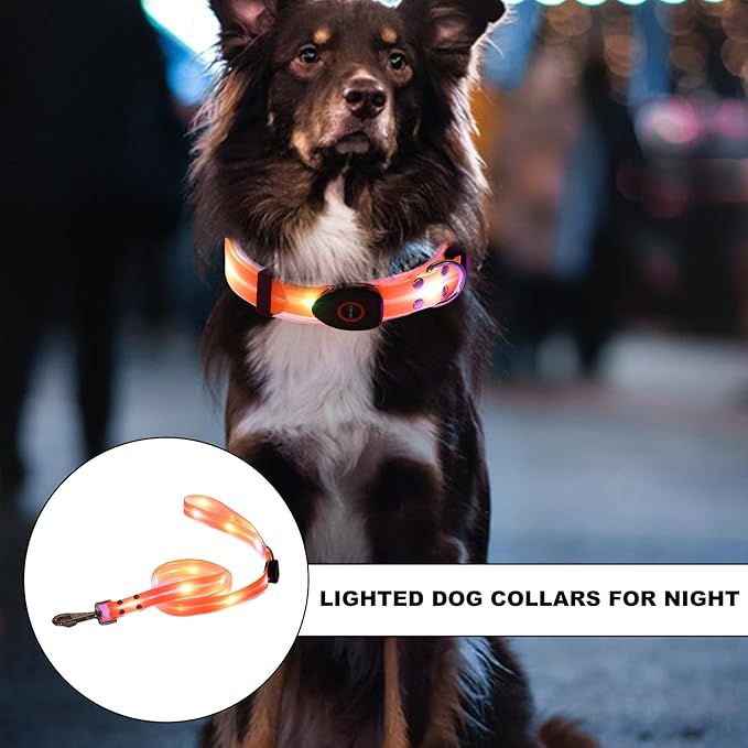 Light Up LED Dog Collar - Rechargeable Pet Necklace Accessory, Adjustable Luminous Collar,PVC Rubber Coated LED Dog Collarr Specification | Lighted Outdoor Protectionfor Small,Medium and Large Breeds