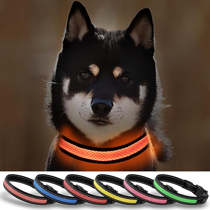 Led Dog Collar Rechargeable, Lighted Dog Collars for Night, Dog Collar Glow in The Dark Waterproof, Adjustable Light Up Collar for Small Dogs (Orange, Pack of 1, S)