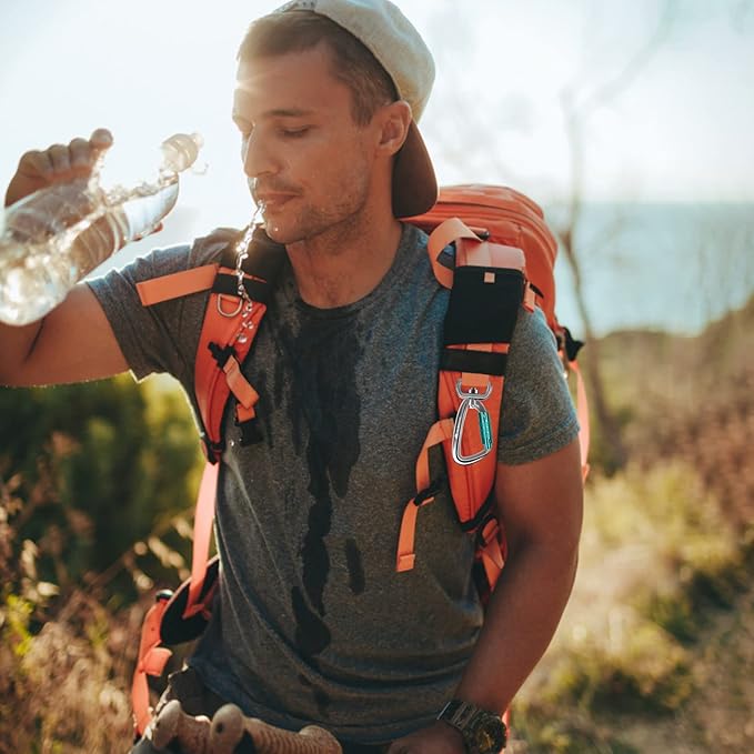 Locking Carabiner Clip 2.5" with Swivel Ring for Securing Pets, Dog Leash Harness, Camping, Hiking, Keychains