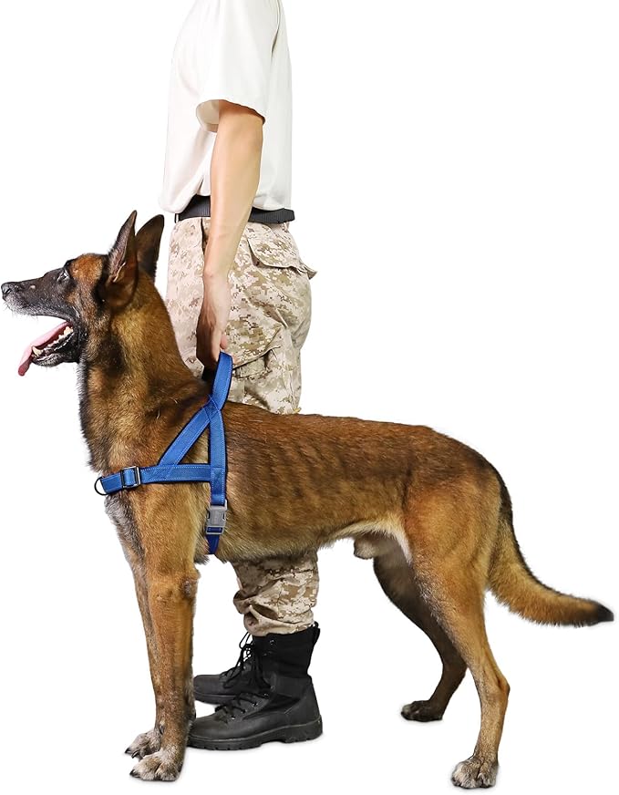No Pull Dog Harness, Reflective Puppy Harness with Soft Padded Handle, Escape Proof/Quick Fit Adjustable Pet Harness for Small Medium Large Dogs, Easy for Training Walking (Blue, S)