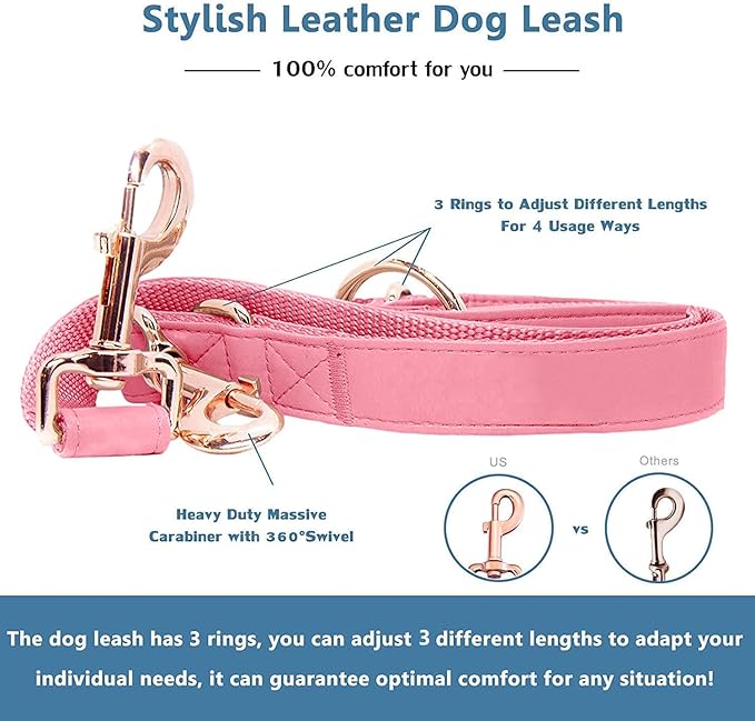 Soft Leather Dog Collar and Leash (6.6') Set - Stylish Rose Gold Heavy Duty Metal Buckle, 4 Adjustable Lengths Leash for Small Medium Large Dogs - Comfortable & Easy to Clean Dark Pink XS(8"-12")