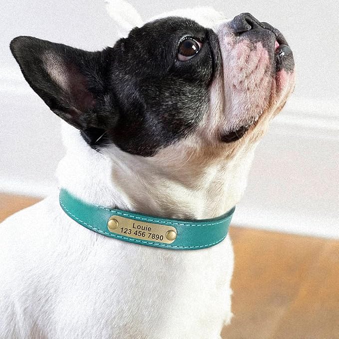 Personalized Leather Dog Collar Custom Dog Collars Leather Gold Buckle Pet ID Collar for Small Medium Large Dogs Dobermann Blue XS