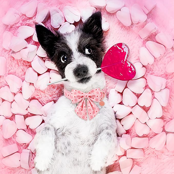 Valentine Dog Collar with Bow Tie, Medium Girl Dog, Cotton with Metal Buckle, Valentine's Day Gift, M, 13.5-22in, Pink Plaid