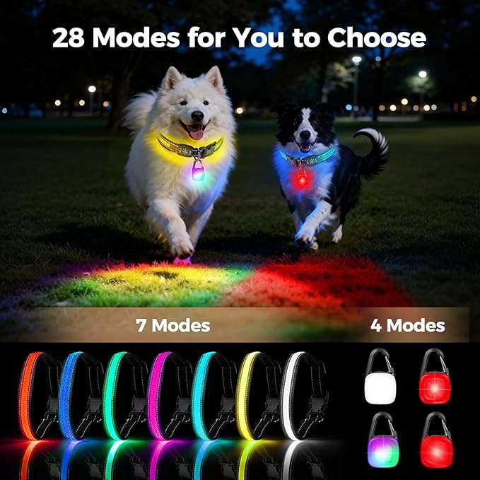 Light Up Dog Collar with Dogs Light Set, Adjustable USB Rechargeable LED Dog Collar Light for Night Walking for Small Medium Large Pet
