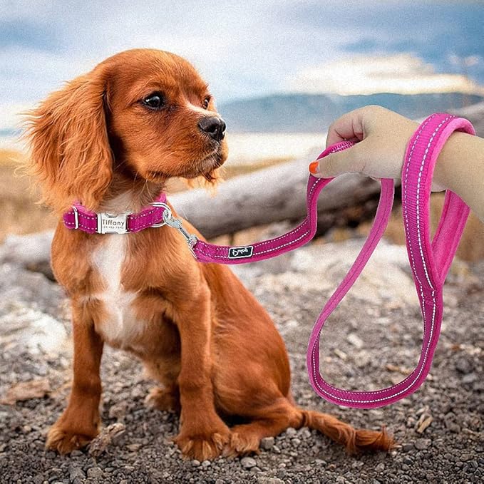 Dog Collar Leash Set Personalized Soft Reflective Dogs Collars Lead Padded for Small Medium Large Dogs French Bulldog Pitbull Rose Red M