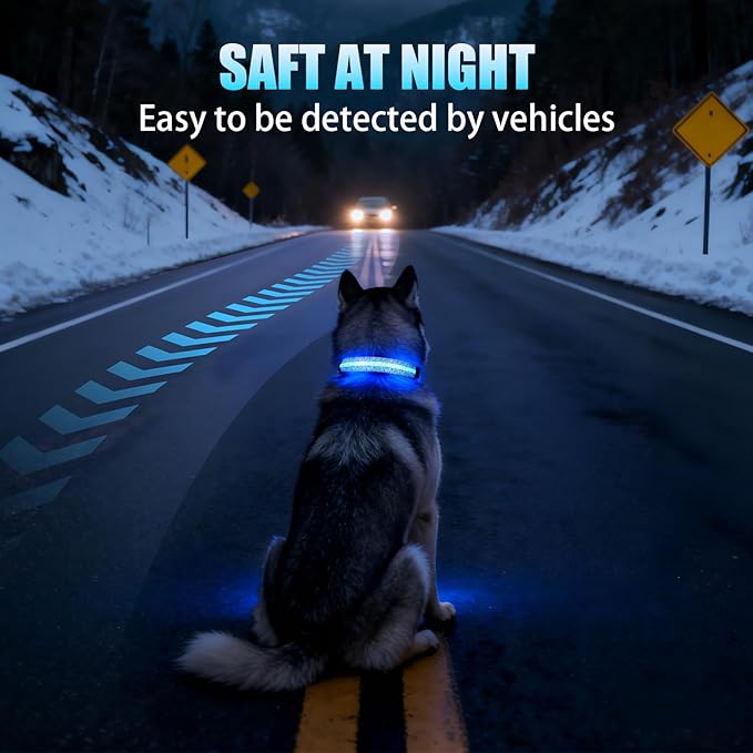 LED Dog Collar - Brightest Light Up Dog Collars - 1,600 Feet of High Visibility - Magnetic Charging - Dog Lights for Night Walking, Daisy Extra Large