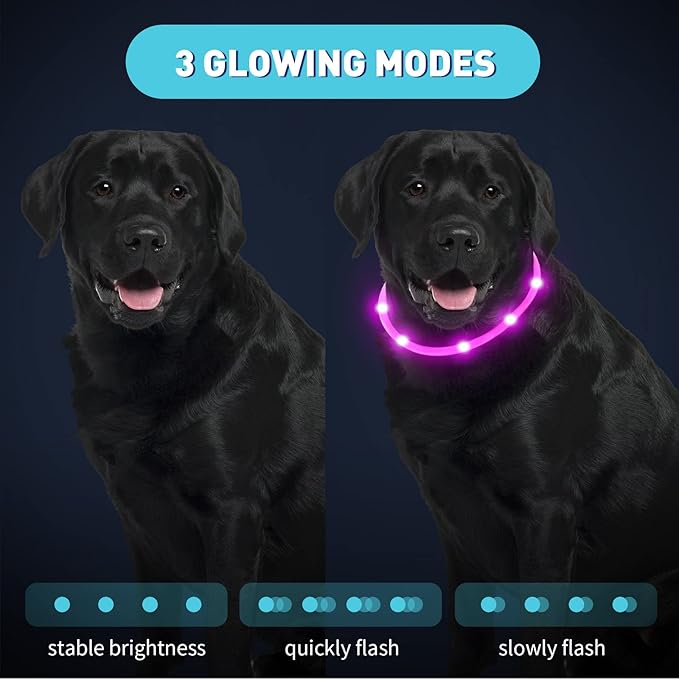 Frienda 4 Pcs Dog Collar LED USB Rechargeable Lights Dog Necklace Collars Doggy Lights for Night Walking Adjustable Safety Lamp Pet Collars for Large Medium Small Puppy(Flashing Style,4 Colors)