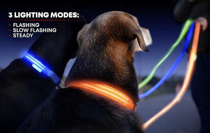 ILLUMISEEN LED Dog Collar USB Rechargeable - Bright & High Visibility Lighted Glow Collar for Pet Night Walking - Weatherproof, in 6 Colors & 6 Sizes (Orange X-Large)