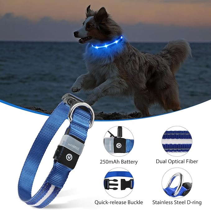 MASBRILL Led Dog Collar - Rechargeable Light Up Collar, Water-Resistant, Flashing Glow for Dogs (L: 23.62 * 0.98in)