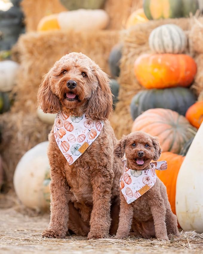 Remy+Roo Fall Dog Bandanas 4 Pack - Amber Set, Premium Durable Polyester Fabric, Patented Curved Design, Adjustable Fit for Small, Large, and XL Dogs, Trendy Patterns, Dog Fall Bandanas (Large)