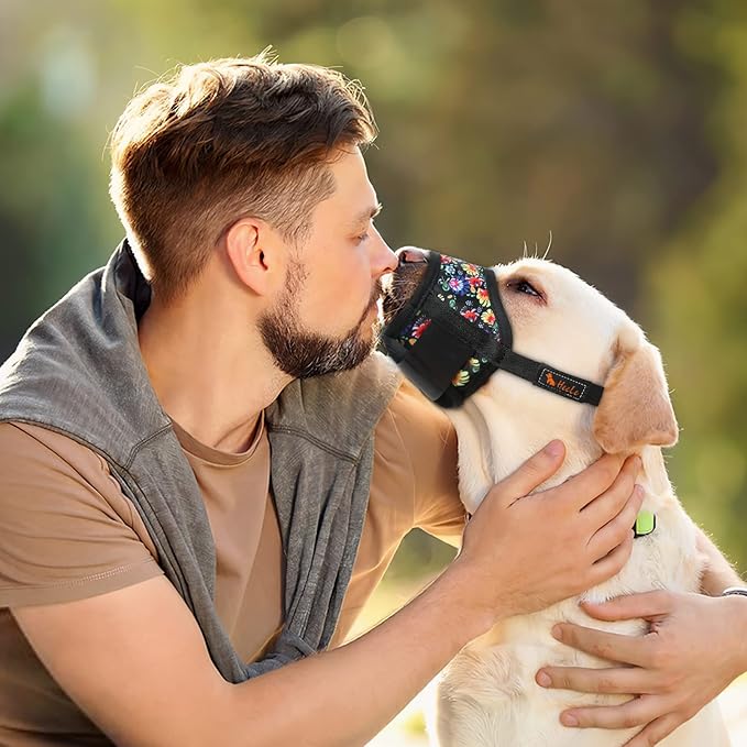 HEELE Dog Muzzle,Soft Nylon Muzzle Anti Biting Barking Chewing,Air Mesh Breathable Drinkable Adjustable Loop Pets Muzzle for Small Medium Large Dogs 4 Colors 4 Sizes (P-Black Sunflower, M)