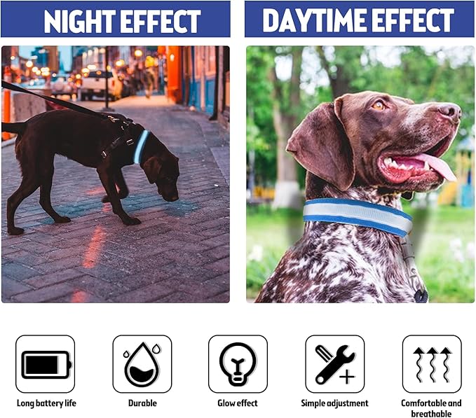LED Dog Collar, Reflective Dog Collar, USB Rechargeable with 100% Waterproof Luminous Collar, Suitable for Medium and Large Dogs (Blue, L)