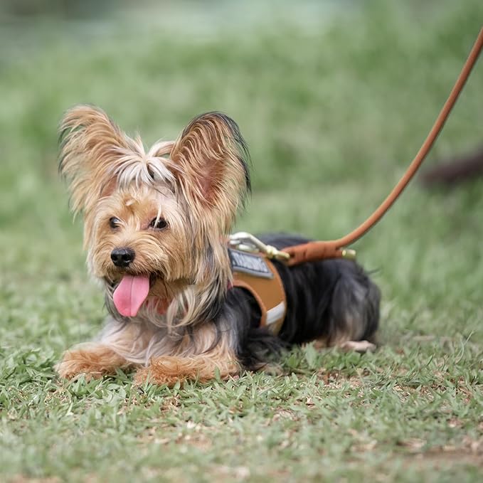 Durable Handwoven Dog Leash for Small & Medium Dogs, 5/16 inch Rope Lead with Anti-Tangle Swivel Clip, Soft & Lightweight, 5FT Long – Ideal for Daily Walking & Training (Carmel Brown)