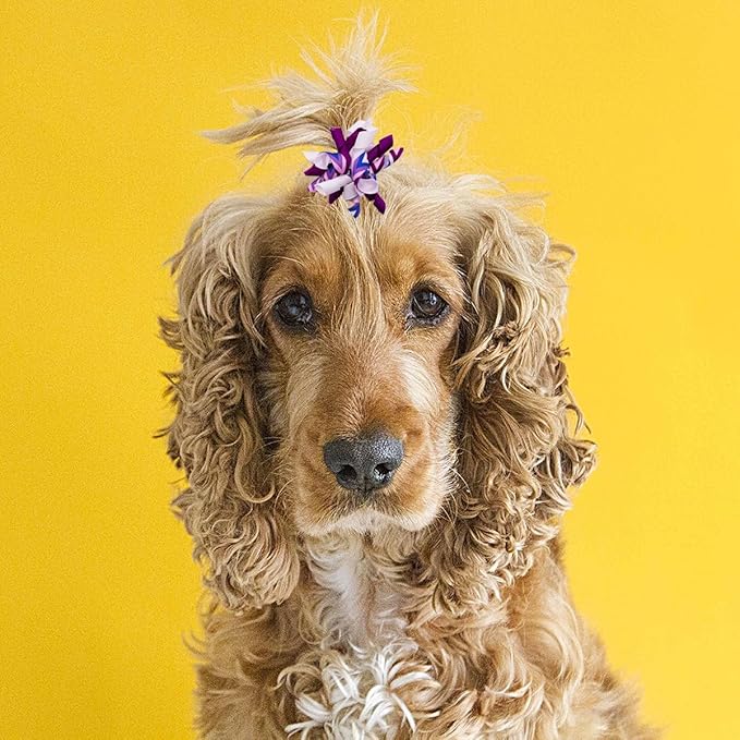PET SHOW 20pcs/10pairs Curly Dog Hair Bows with Rubber Bands for Small Medium Dogs Spiral Puppy Swirl Topknot Cat Festival Hair Accessories Pet Favor Gift (Holiday Assorted)
