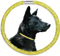 Stylish and Luxurious Diamond Dog Collar,Magnetically Clasp,Full Diamond Design,Perfect for Wedding and Everyday Walking - Gold Yellow Diamons Necklace Collar for Medium Large Dogs,22''