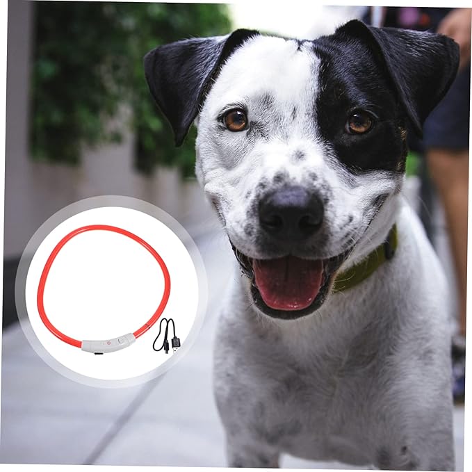GANAZONO LED Rechargeable Puppy Collar Glowing Pet Collar with USB Cable Lightweight and Comfortable and Cats Stylish and Eye Catching Night Safety Accessory