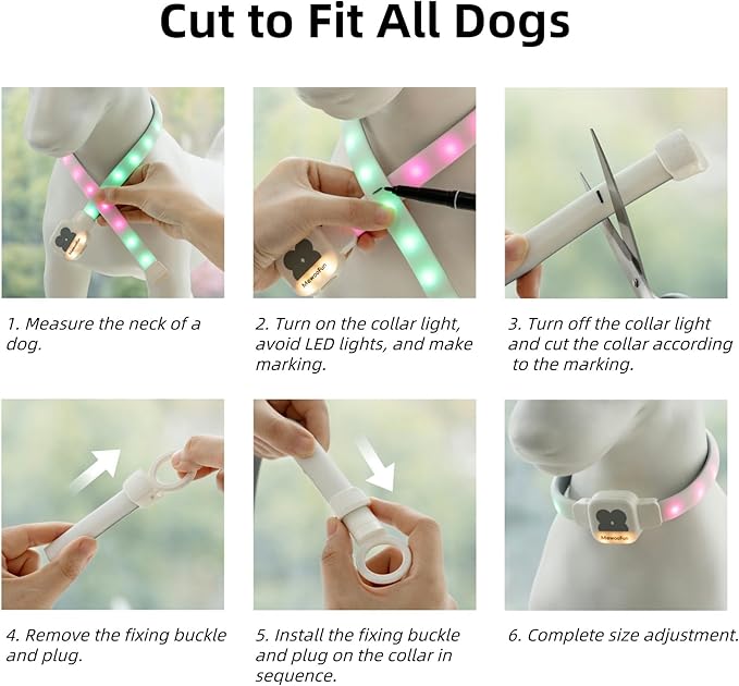 Light Up Dog Collar for Night Walking, USB Rechargeable LED Dog Collar with 6 Glow Modes, Adjustable, Reusable, Durable, Keep Safe in Dark for Small Medium Large Dogs (White, L)