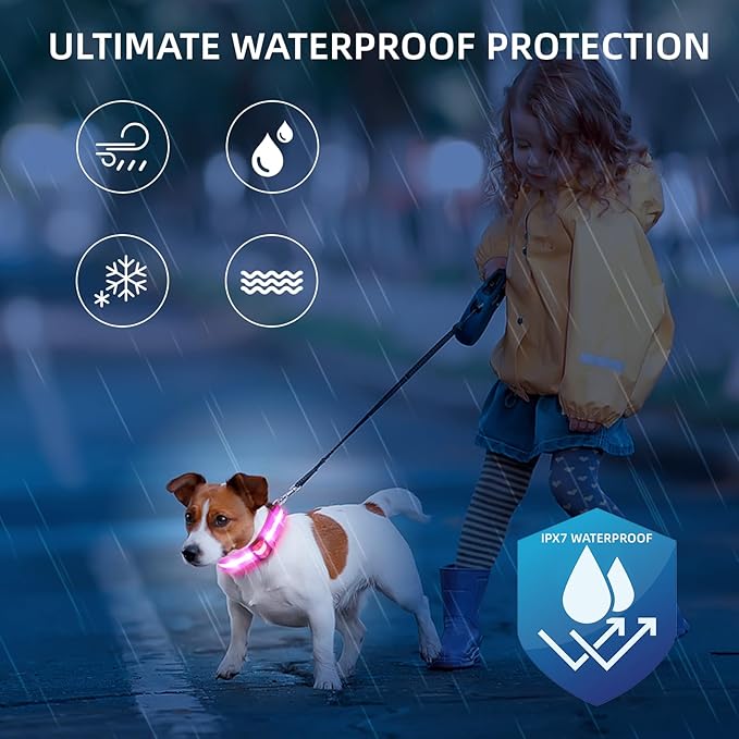 LED Dog Collar for Small Dogs Cats - Fully Waterproof & Adjustable Glow Collar - USB-C Rechargeable for Night Walking, Safety - Flashing Lighted Collar for Dogs(Pink,S)