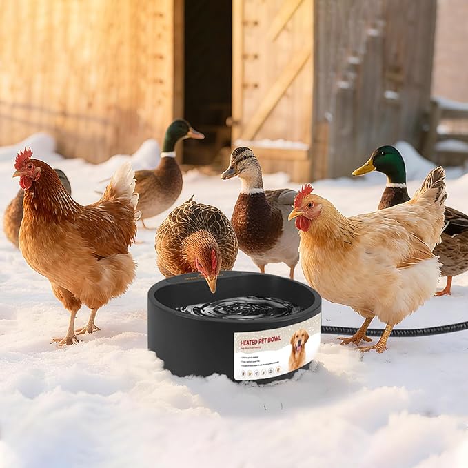 Dog Heated Water Bowl for Outdoor No Freeze Water Bowl with Chew Resistant Cord, 2.2L, Black