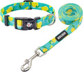 azuza Dog Collar and Leash Set, Lemon Patterns on Blue Nylon Collar and Matching Leash, Great Option for Extra Small Dogs