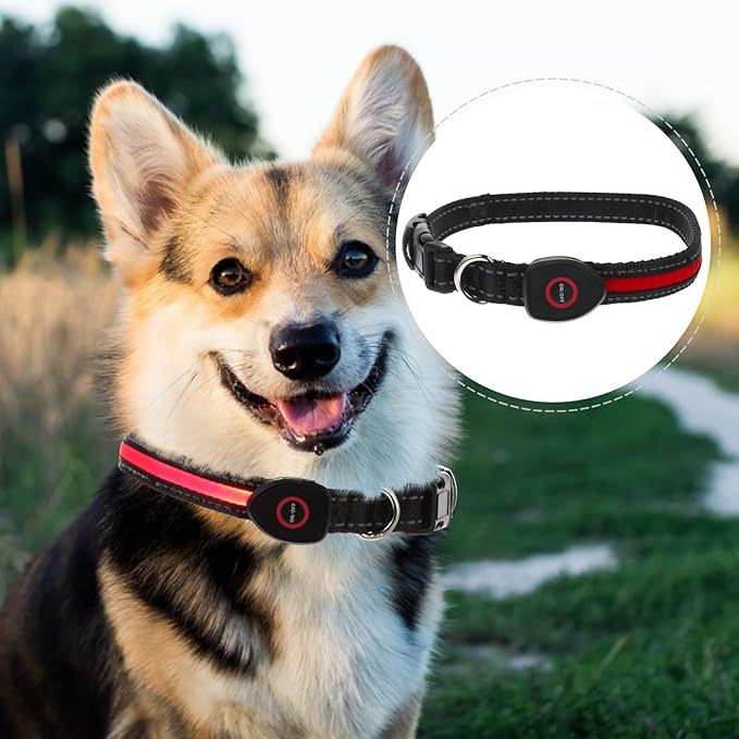 VALICLUD Rechargeable LED Pet Collar 50cm Red Luminous Dog Collar with USB Charging 3 Flashing Modes for Medium Dogs Like Small Breed Golden Retriever Bichon