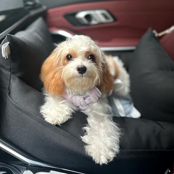 Pet Car Booster Seat for Small Dogs up to 25 lbs with Safety Straps, Storage Pockets, Travel Carrier Bed with Detachable Cover, Machine Washable (Black)