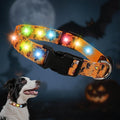 Halloween Light Up Dog Collar, LED Dog Collar Glow in The Dark - USBC Rechargeable, 3 Flashing Modes, Fashionable Cute Glowing Dog Light Up Collars for Medium Large Dogs, M