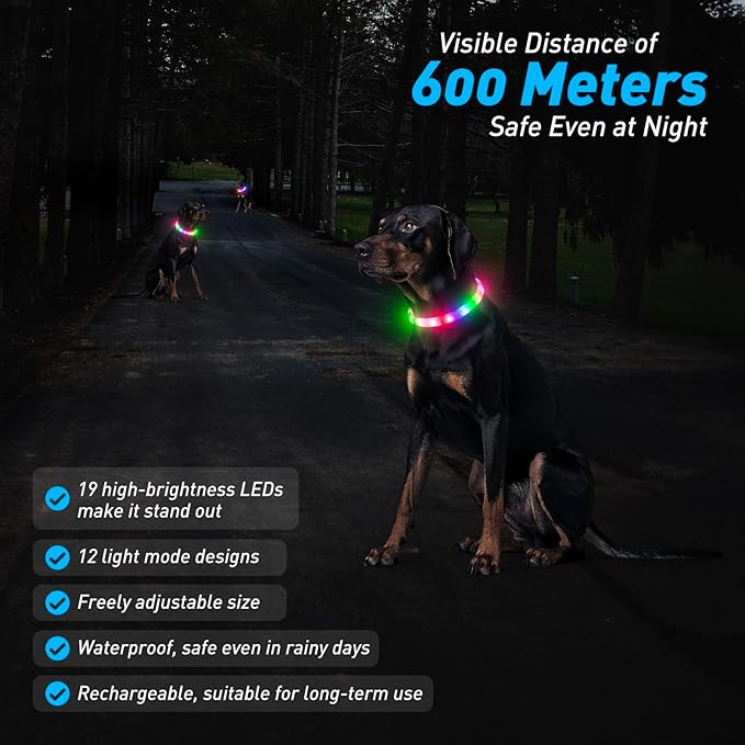 LED Dog Collar with 12 Lighting Modes-Rechargeable Dog Light Glow in The Dark for Night Walking, Adjustable Light Up Dog Collar for Small/Medium/Large Dogs, 1-H Charge & 12H Runtime, Blue