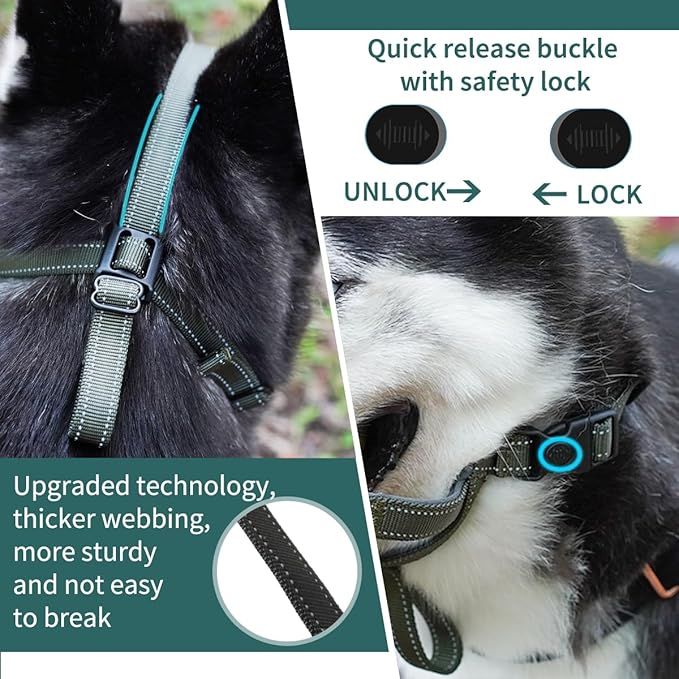 BARKLESS Dog Muzzle, Basket Muzzle for Small Medium Large Dogs, Soft Cage Mouth Cover for Biting Chewing, Allow Drinking Panting for German Shepherd Pitbull Rottweiler (6 (Snout 13¾-15½"), Green)