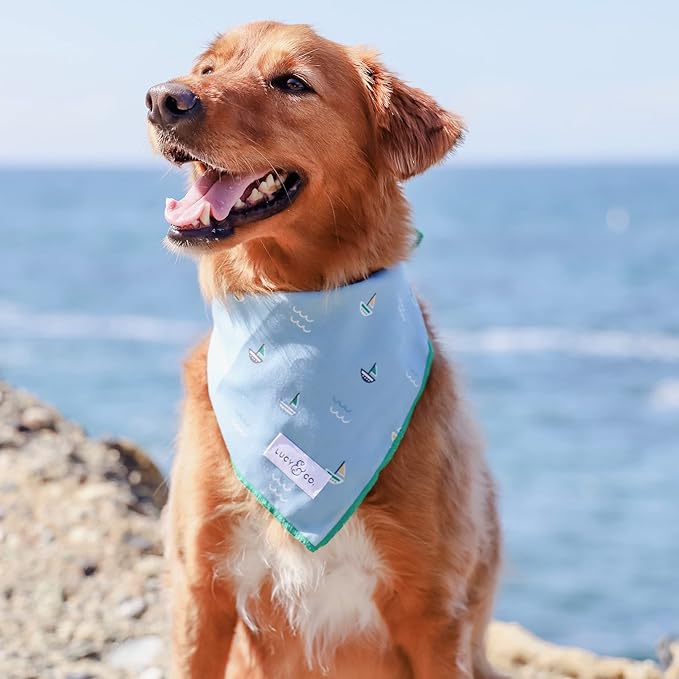 Lucy & Co. Set Sail Bandana - Designer Puppy Accessory. 100% Polyester. Soft, Stylish and Appropriate for Any Occasion. Machine Washable, Large, Blue with Green & Yellow Sailboats
